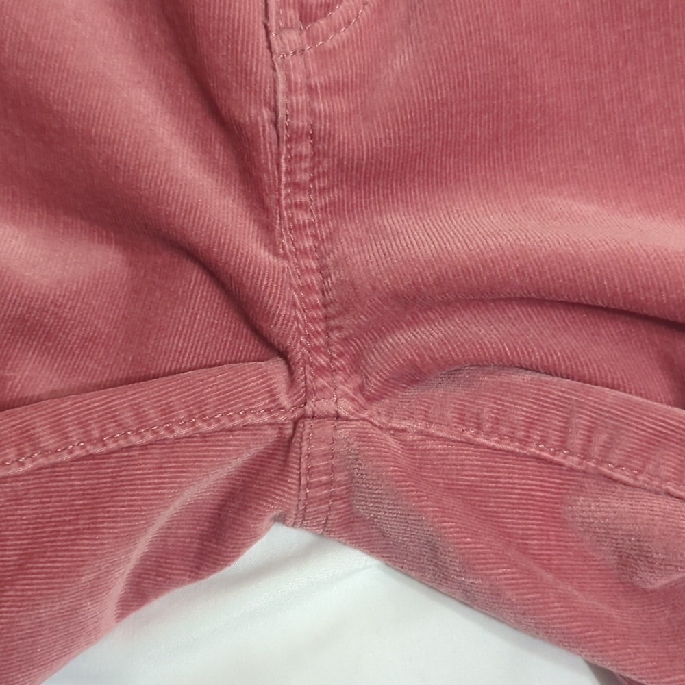 LOFT Skinny Pants in Corduroy, Color Pink Size 4/27 - Picture 9 of 15
